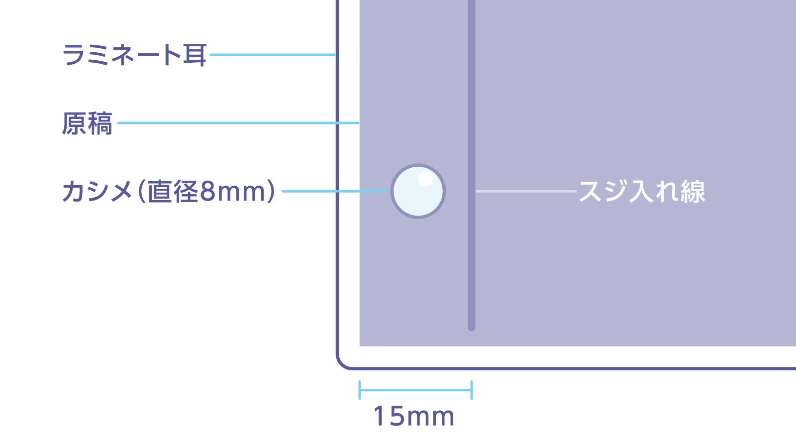 カシメ加工 位置
