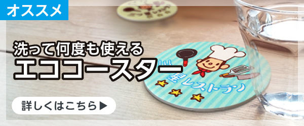エココースター